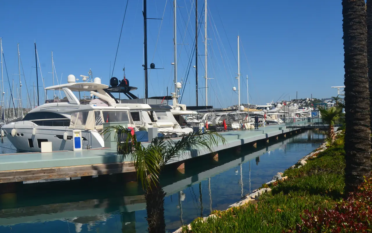 Yalıkavak Marina'da iskele boyunca yatlar, önde palmiyeler